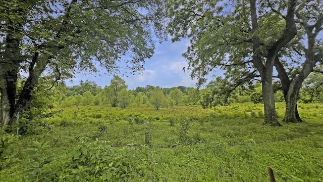 2209 Trotwood Dr, Pulaski, TN 38478 - photo 24