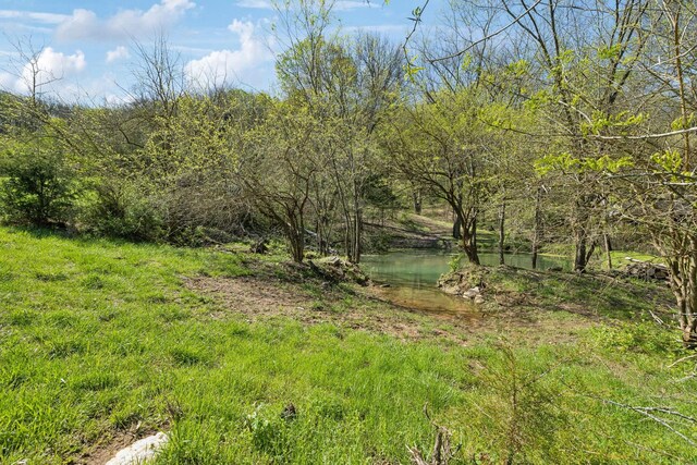 2677 York Rd, Nolensville, TN 37135 - photo 13