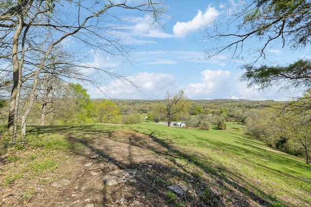2677 York Rd, Nolensville, TN 37135 - photo 11