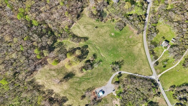 2677 York Rd, Nolensville, TN 37135 - photo 6