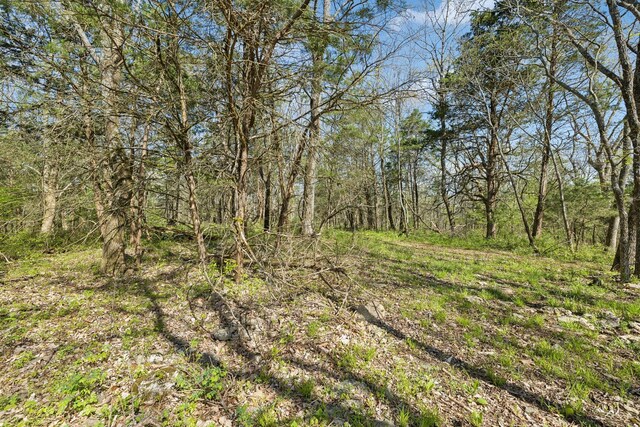 2677 York Rd, Nolensville, TN 37135 - photo 10