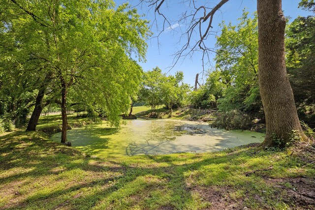 2677 York Rd, Nolensville, TN 37135 - photo 20
