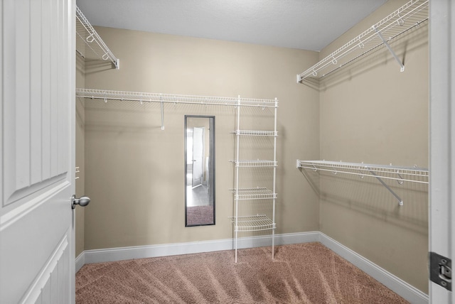 410 River Heights Dr, Clarksville, TN 37040 - photo 24