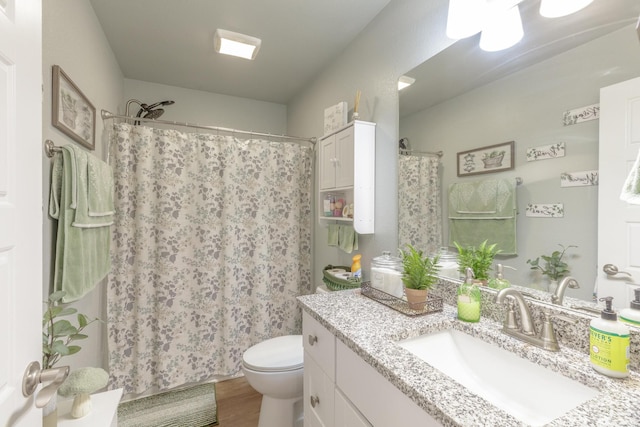 658 Old Chattanooga Pike SW, Cleveland, TN 37311 - bathroom featuring vanity, toilet, wood finished floors, and curtained shower