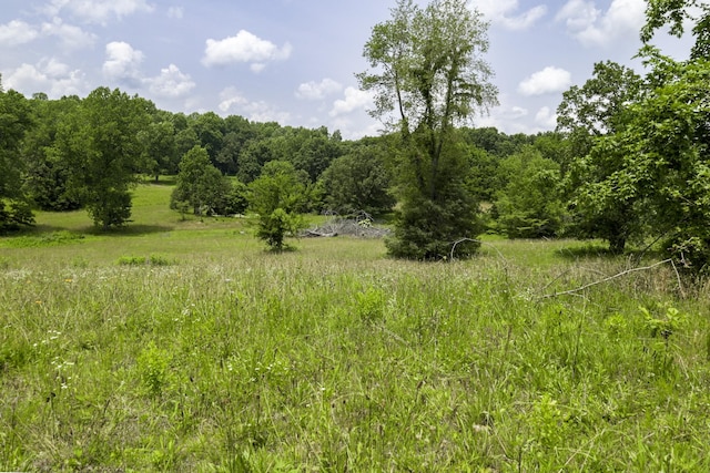 535 Dawson Rd, Cumberland Furnace, TN 37051 - view of local wilderness