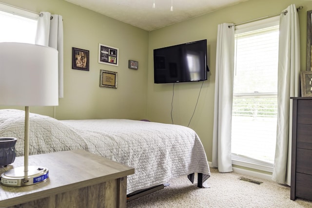 535 Dawson Rd, Cumberland Furnace, TN 37051 - carpeted bedroom featuring multiple windows