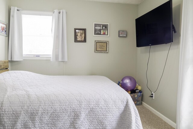 535 Dawson Rd, Cumberland Furnace, TN 37051 - bedroom with carpet and baseboards