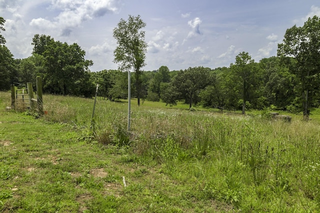 535 Dawson Rd, Cumberland Furnace, TN 37051 - view of woods with a view of countryside
