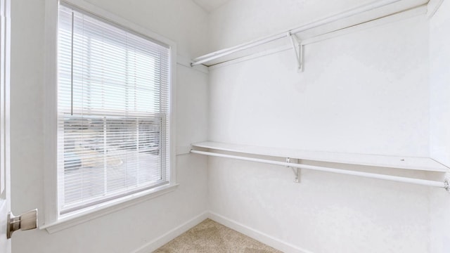 2271 Dewey Dr Unit G2, Spring Hill, TN 37174 - walk in closet featuring carpet