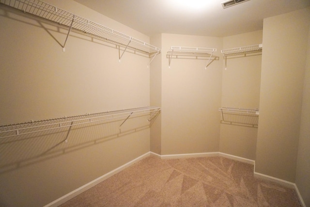 140 Settlers Way, Hendersonville, TN 37075 - photo 27