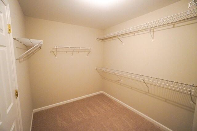 140 Settlers Way, Hendersonville, TN 37075 - photo 26