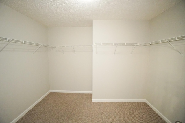 1025 Gannett Rd, Hendersonville, TN 37075 - photo 24