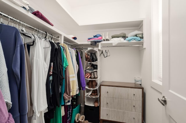 507 Vernon Cir, Nashville, TN 37209 - view of spacious closet