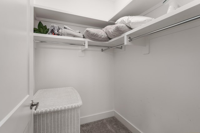 507 Vernon Cir, Nashville, TN 37209 - walk in closet with carpet