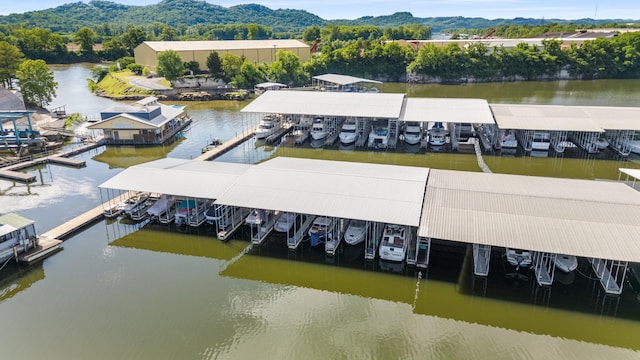 507 Vernon Cir, Nashville, TN 37209 - drone / aerial view of a marina and a water and mountain view