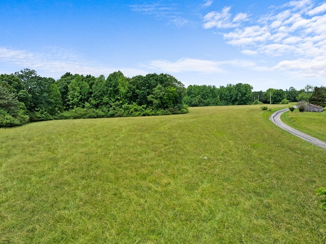 0 Lou Johns Rd, Loretto, TN 38469