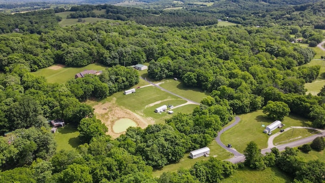 2219 Mack Benderman Rd, Culleoka, TN 38451 - photo 37