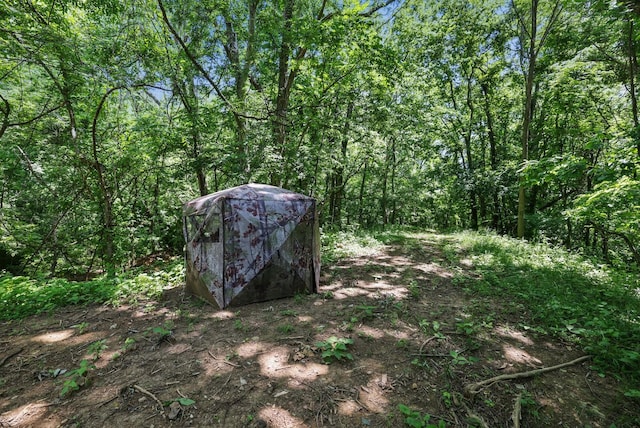 2219 Mack Benderman Rd, Culleoka, TN 38451 - photo 36