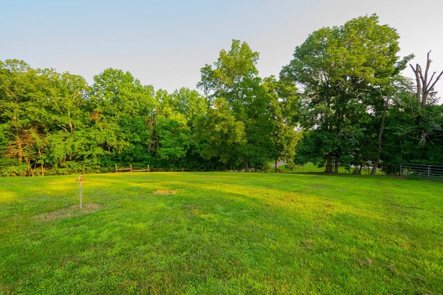 2774 Ragsdale Rd, Columbia, TN 38401 - photo 32