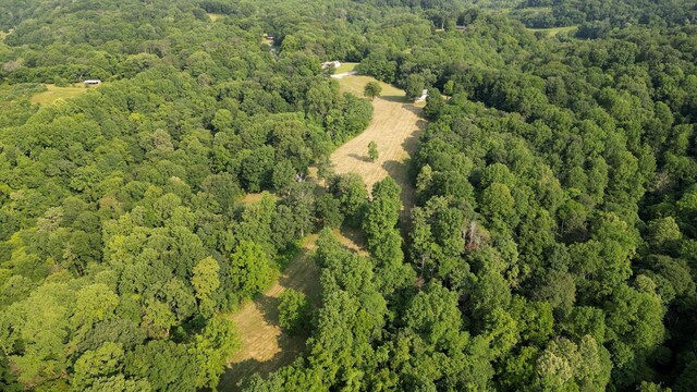 2774 Ragsdale Rd, Columbia, TN 38401 - photo 47