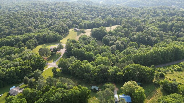 2774 Ragsdale Rd, Columbia, TN 38401 - photo 51