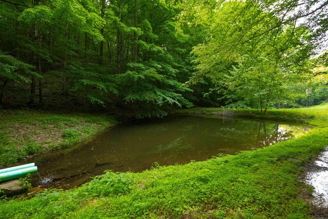 2774 Ragsdale Rd, Columbia, TN 38401 - photo 43