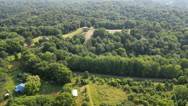 2774 Ragsdale Rd, Columbia, TN 38401 - photo 46