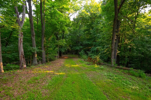 2774 Ragsdale Rd, Columbia, TN 38401 - photo 37