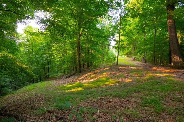 2774 Ragsdale Rd, Columbia, TN 38401 - photo 39