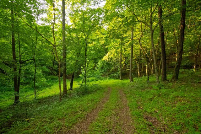 2774 Ragsdale Rd, Columbia, TN 38401 - photo 40