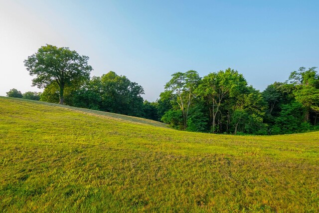 2774 Ragsdale Rd, Columbia, TN 38401 - photo 34