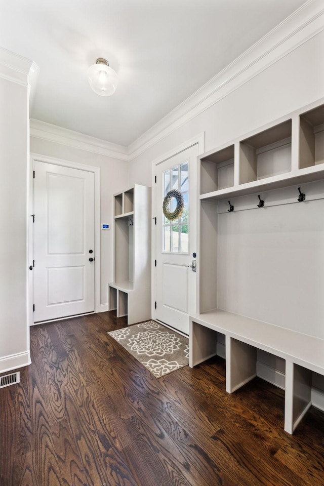 1234 Saddle Springs Dr, Thompsons Station, TN 37179 - mudroom with dark wood finished floors, ornamental molding, and baseboards