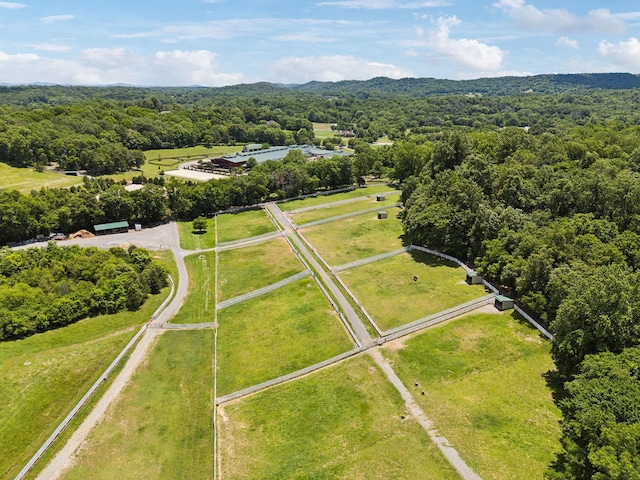 1234 Saddle Springs Dr, Thompsons Station, TN 37179 - bird's eye view of a forest