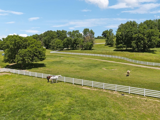 1234 Saddle Springs Dr, Thompsons Station, TN 37179 - view of yard featuring a view of rural / pastoral area