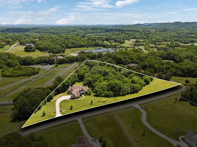 1234 Saddle Springs Dr, Thompsons Station, TN 37179 - view of property location with property boundaries highlighted and a heavily wooded area