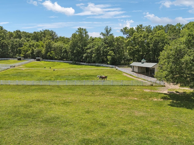 1234 Saddle Springs Dr, Thompsons Station, TN 37179 - view of yard with an exterior structure, an outdoor structure, a view of rural / pastoral area, and a view of trees