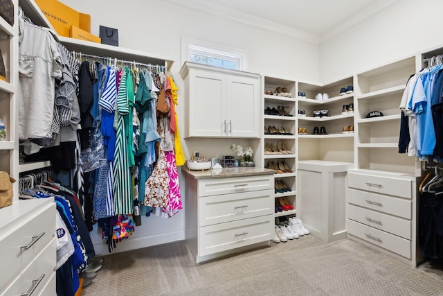 1234 Saddle Springs Dr, Thompsons Station, TN 37179 - spacious closet featuring light colored carpet
