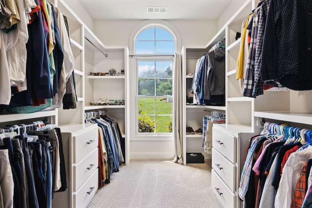 1234 Saddle Springs Dr, Thompsons Station, TN 37179 - walk in closet with carpet floors