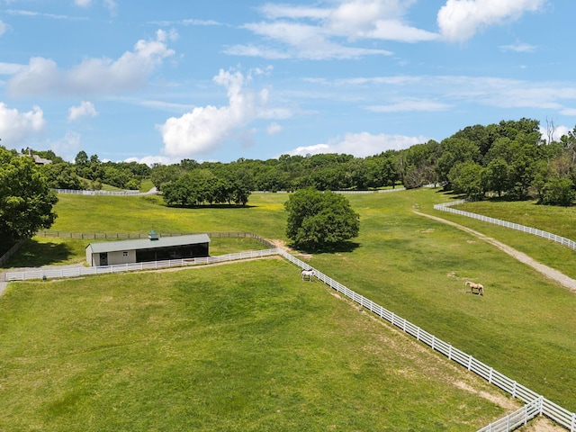 1234 Saddle Springs Dr, Thompsons Station, TN 37179 - view of rural area featuring agricultural land