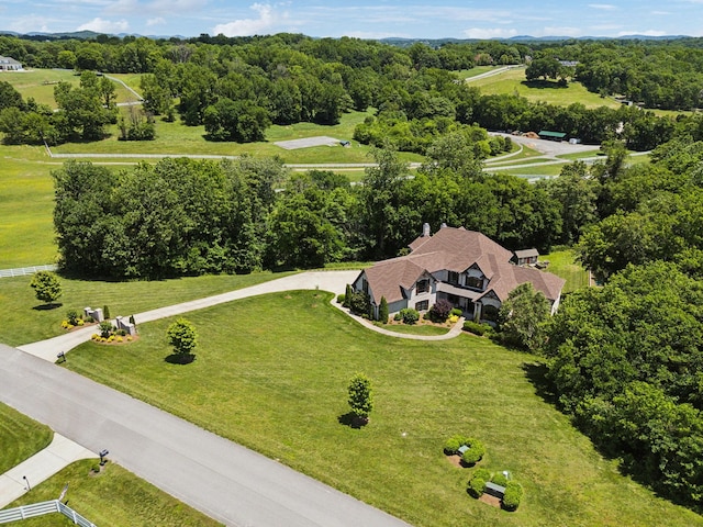 1234 Saddle Springs Dr, Thompsons Station, TN 37179 - view from above of property