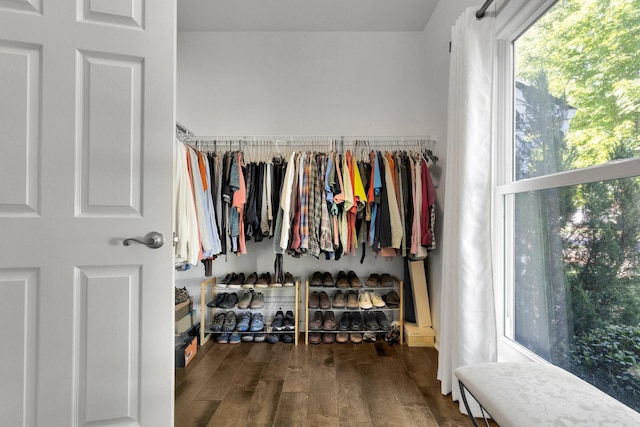 1154 Olde Cameron Ln, Franklin, TN 37067 - walk in closet with wood finished floors