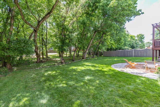 1154 Olde Cameron Ln, Franklin, TN 37067 - view of yard
