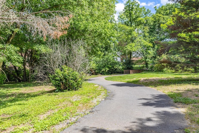 1154 Olde Cameron Ln, Franklin, TN 37067 - view of community featuring a lawn