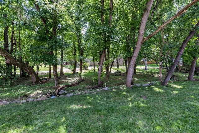 1154 Olde Cameron Ln, Franklin, TN 37067 - view of green lawn