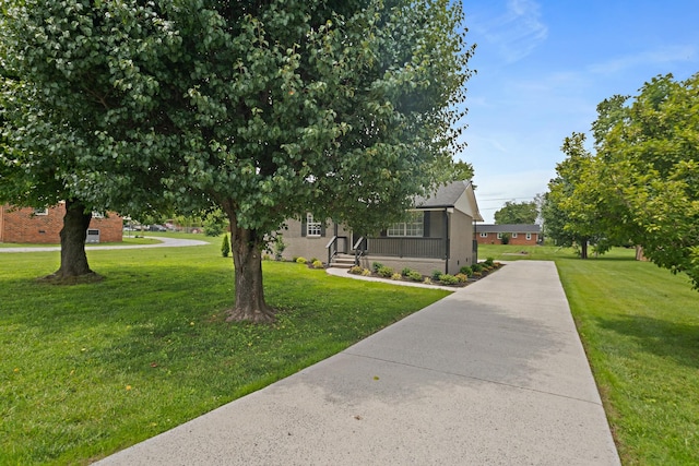 316 Bybee Branch Rd, Mcminnville, TN 37110 - obstructed view of property with a front yard