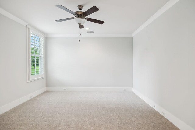 1013 Buena Vista Dr, Franklin, TN 37069 - photo 51