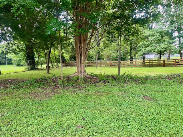5935 S New Hope Rd, Hermitage, TN 37076 - view of yard