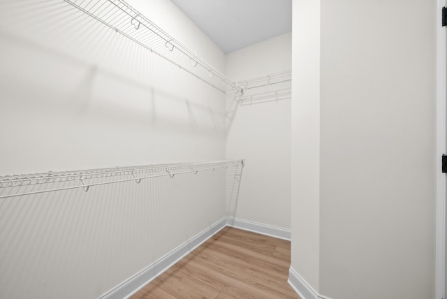 583 Pongracz Way, Clarksville, TN 37042 - walk in closet featuring light wood-type flooring