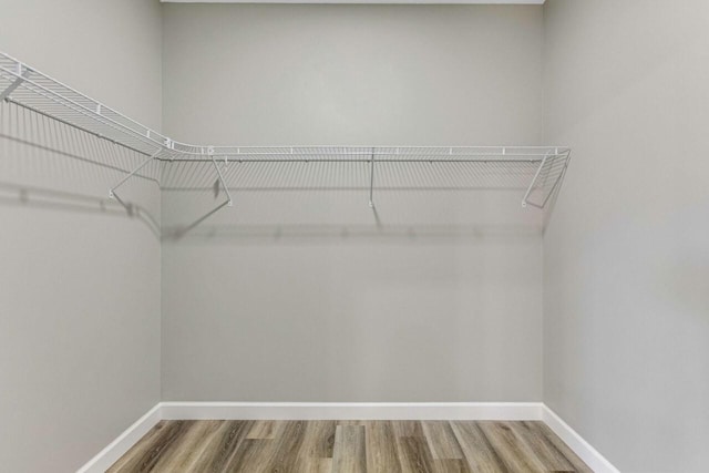 115 Carl Williams Rd, Crofton, KY 42217 - spacious closet with wood finished floors