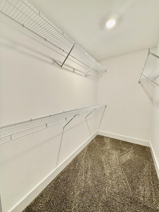 5608 Maples Retreat Dr, Murfreesboro, TN 37127 - walk in closet with carpet